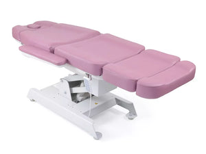Esthetica Mridul Derma Bed